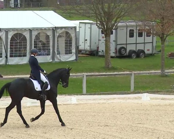 Reitturnier Gut Bohmerhof/Obb. 2023