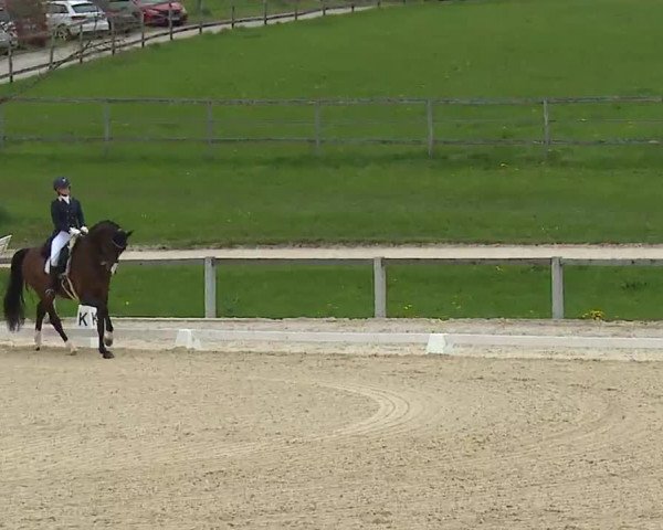Reitturnier Gut Bohmerhof/Obb. 2023