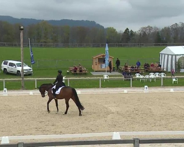 Reitturnier Gut Bohmerhof/Obb. 2023
