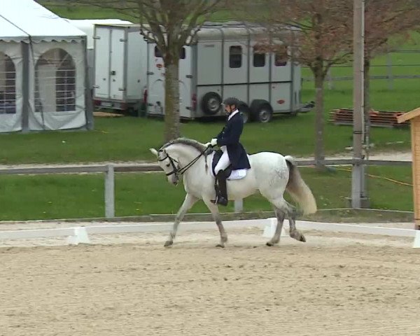 Reitturnier Gut Bohmerhof/Obb. 2023