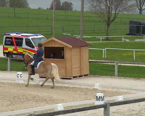 Reitturnier Gut Bohmerhof/Obb. 2023
