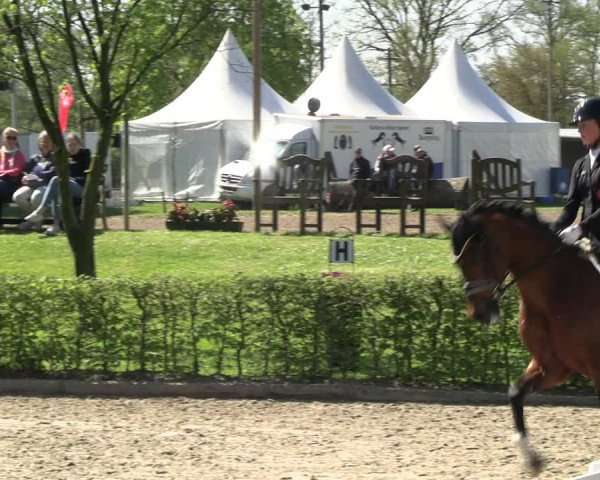 Reitturnier Olfen-Vinnum 2023
