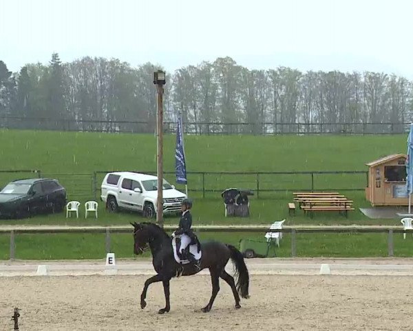Reitturnier Gut Bohmerhof/Obb. 2023