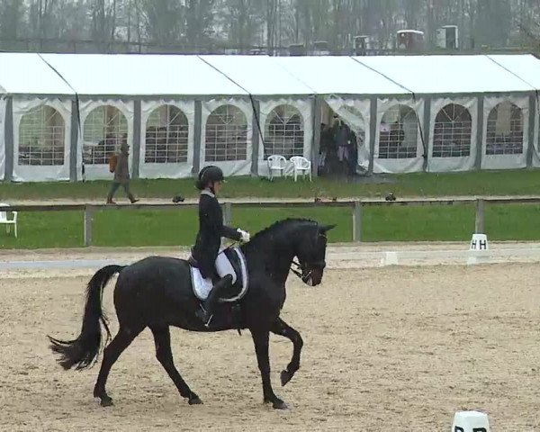 Reitturnier Gut Bohmerhof/Obb. 2023