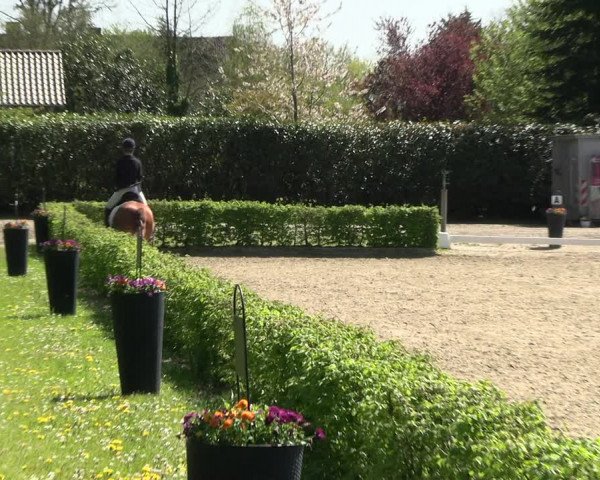 Reitturnier Olfen-Vinnum 2023