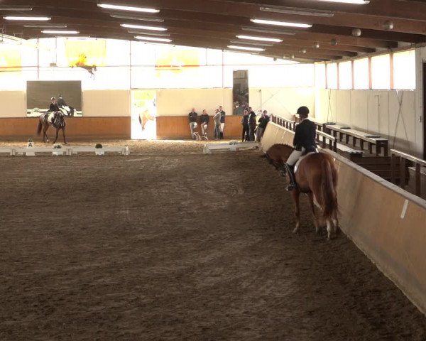 Reitturnier Hildesheim-Steuerwald 2023