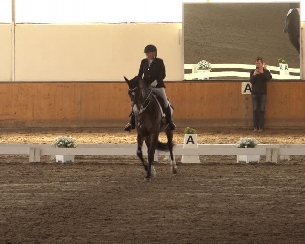 Reitturnier Hildesheim-Steuerwald 2023