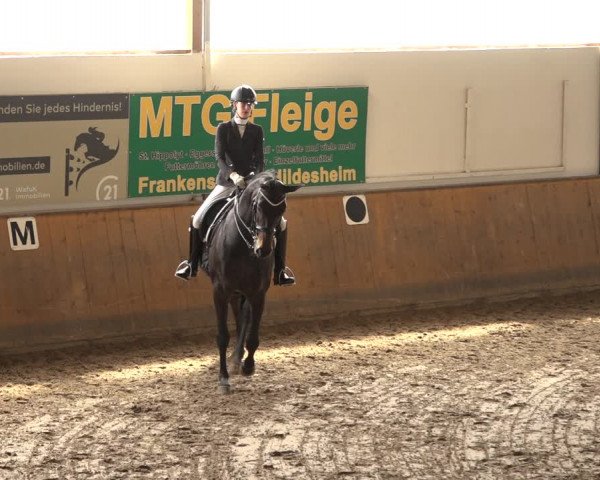 Reitturnier Hildesheim-Steuerwald 2023