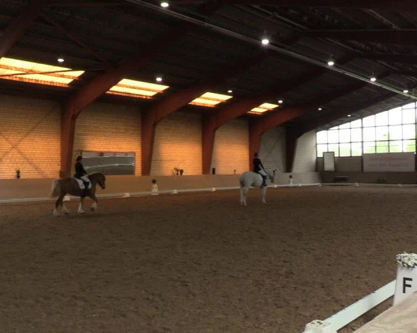Reitturnier Kamen 2023