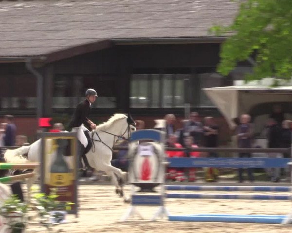 Reitturnier Havixbeck 2023