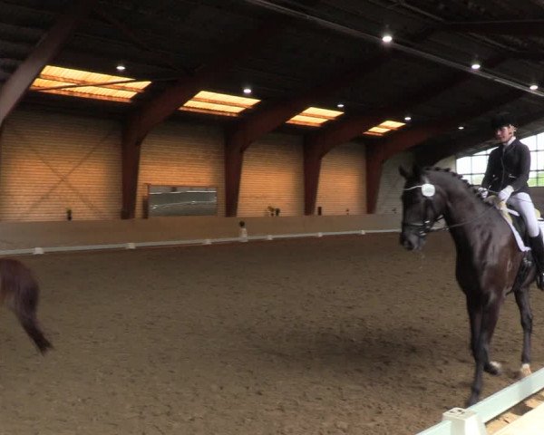 Reitturnier Kamen 2023