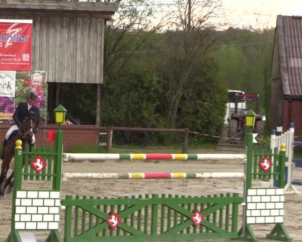 Reitturnier Havixbeck 2023