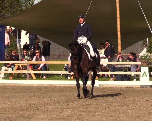 Reitturnier Kleinsolt 2023