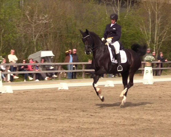 Reitturnier Kleinsolt 2023