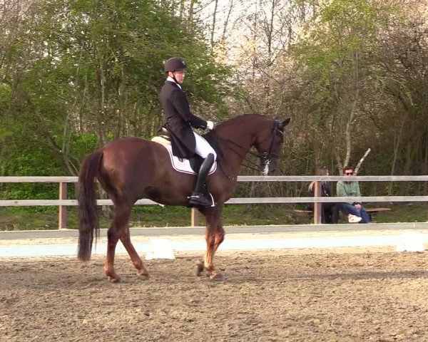 Reitturnier Kleinsolt 2023