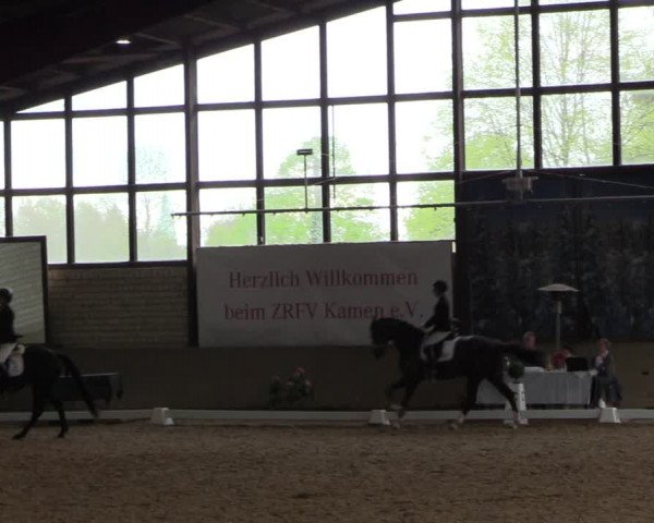 Reitturnier Kamen 2023