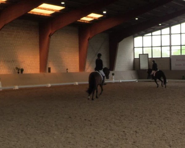 Reitturnier Kamen 2023