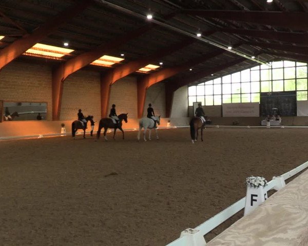 Reitturnier Kamen 2023
