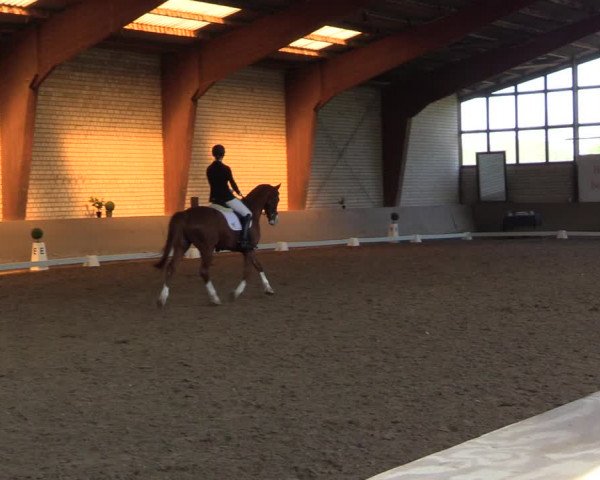 Reitturnier Kamen 2023