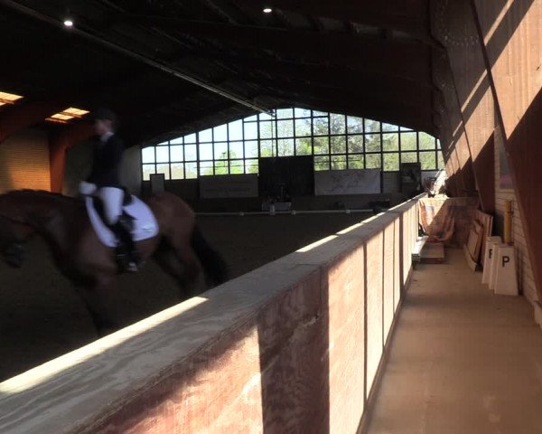 Reitturnier Kamen 2023