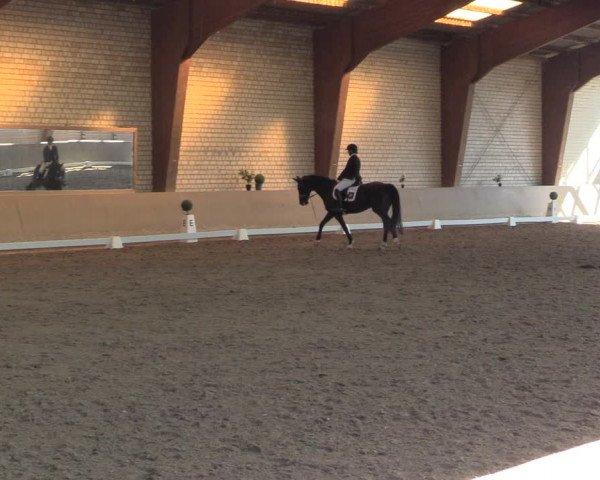 Reitturnier Kamen 2023