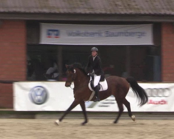 Reitturnier Havixbeck 2023