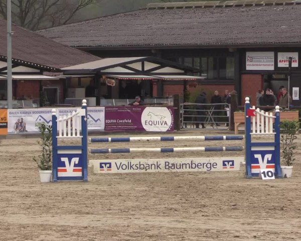 Reitturnier Havixbeck 2023
