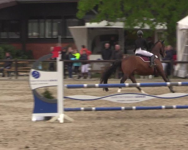 Reitturnier Havixbeck 2023