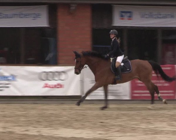 Reitturnier Havixbeck 2023