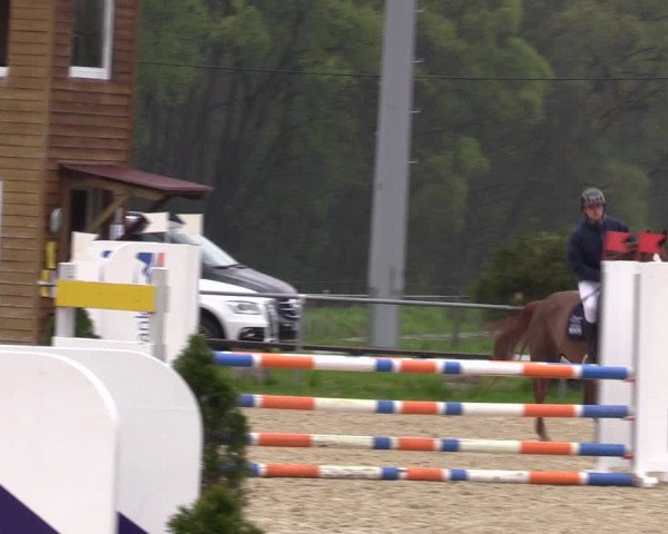 Reitturnier Bad Liebenstein/Sorga 2023