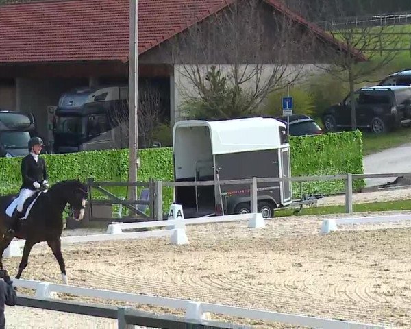 Reitturnier Gut Bohmerhof/Obb. 2023