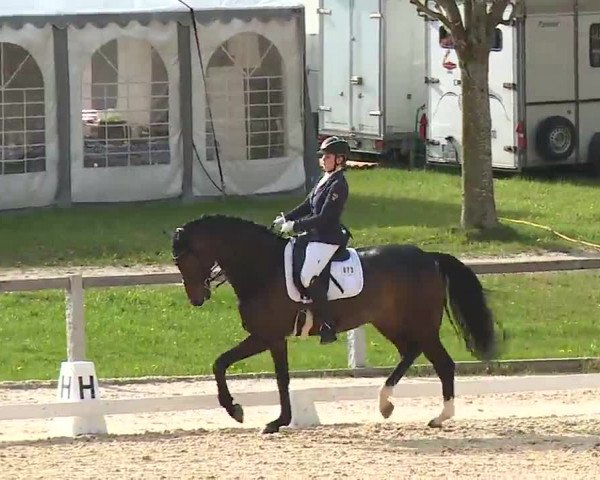 Reitturnier Gut Bohmerhof/Obb. 2023