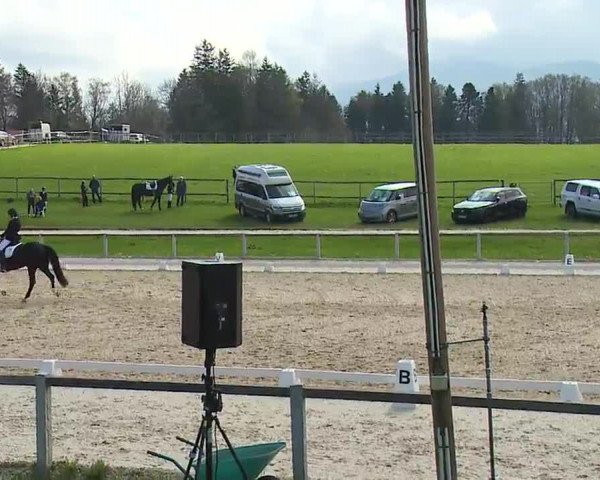 Reitturnier Gut Bohmerhof/Obb. 2023