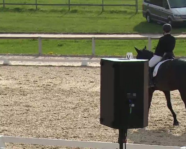 Reitturnier Gut Bohmerhof/Obb. 2023