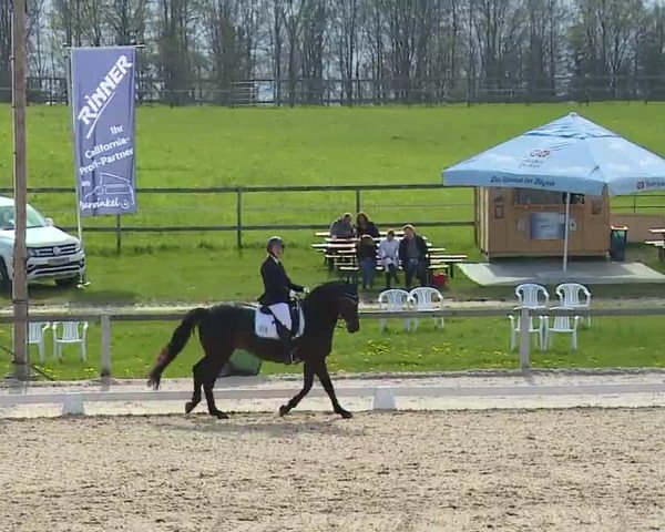 Reitturnier Gut Bohmerhof/Obb. 2023
