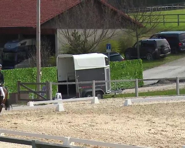 Reitturnier Gut Bohmerhof/Obb. 2023
