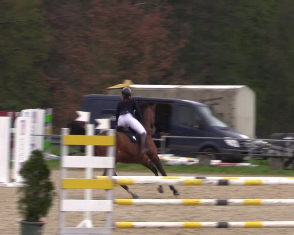 Reitturnier Bad Liebenstein/Sorga 2023