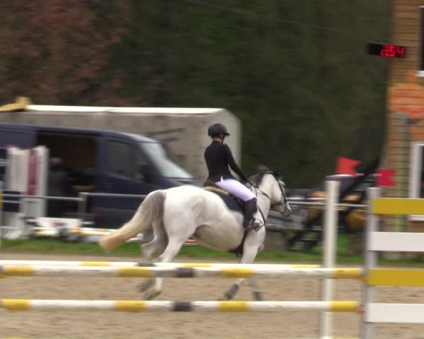 Reitturnier Bad Liebenstein/Sorga 2023