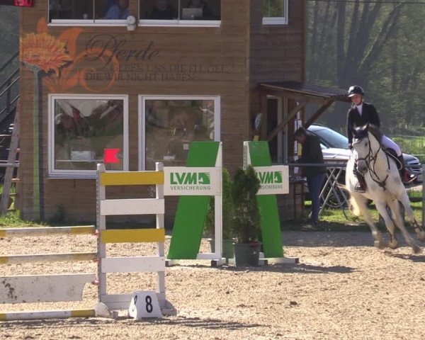 Reitturnier Bad Liebenstein/Sorga 2023