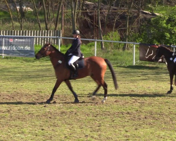 Reitturnier Colbitz 2023
