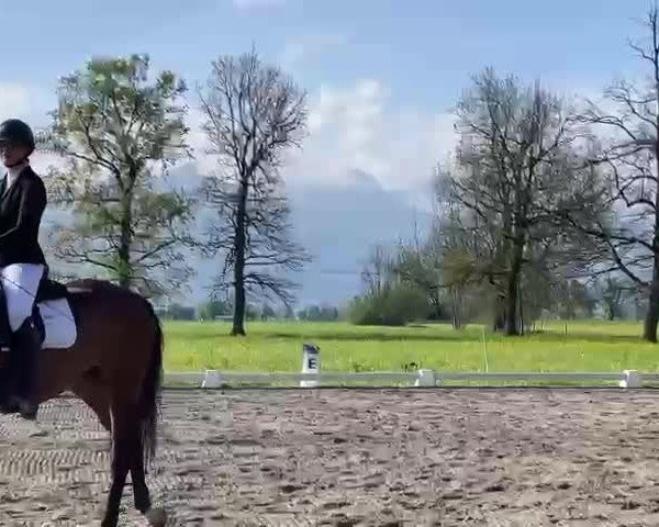 Video of Coco de Luxe