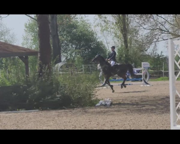 Video of Frodewine
