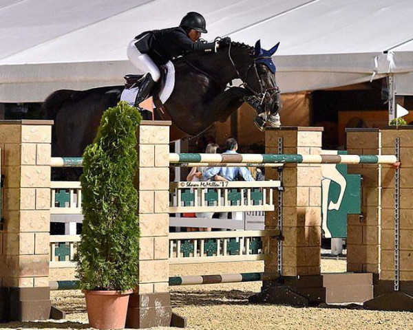 broodmare Wamira (KWPN (Royal Dutch Sporthorse), 2003, from Oklund)
