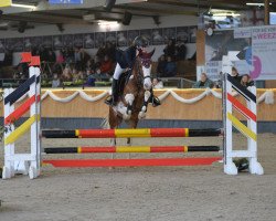 jumper Patch Sg (German Riding Pony, 2017, from Paul SG)