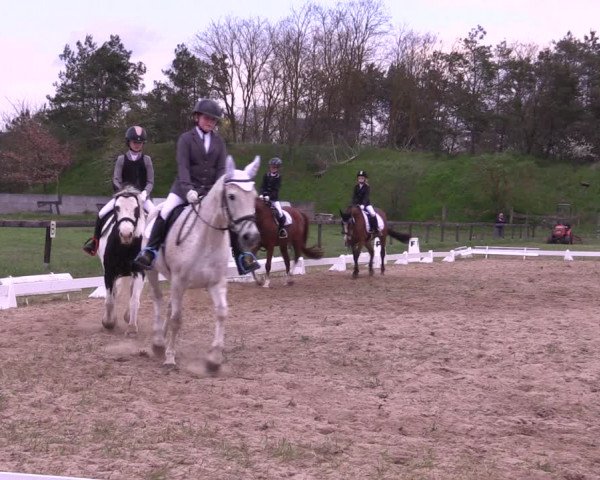 Reitturnier Colbitz 2023