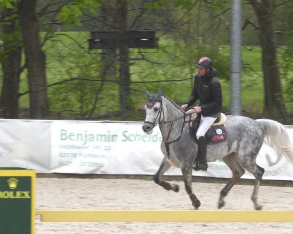 Reitturnier Karlsfeld 2023