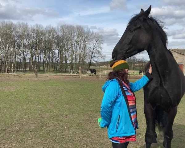Video of Dipinto nero von Royal