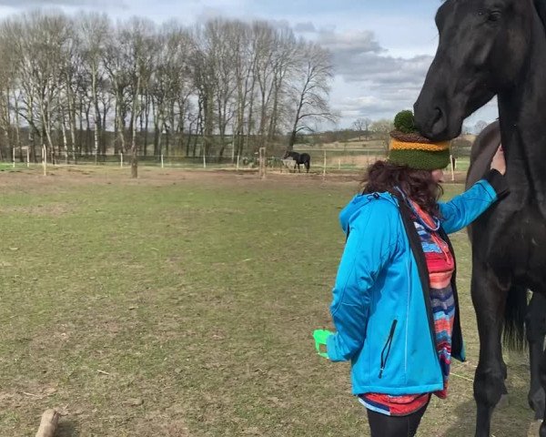 Video of Dipinto nero von Royal