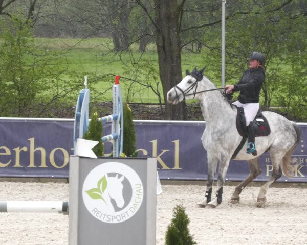 Reitturnier Karlsfeld 2023