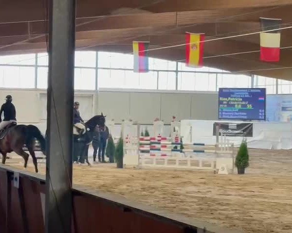 Video of Chicki Micki Z